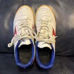 ミズノ モナルシーダ NEO SALA SELECT IN