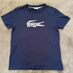 ユニセックス LACOSTE ネイビー Tシャツ US Sサイズ