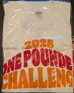 Item thumbnail for item 5713ea86-1f69-42c0-a896-3a8254c3a616