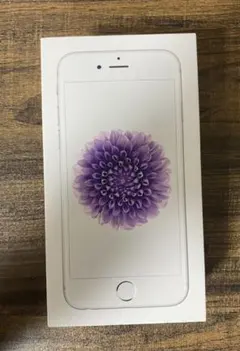 空箱　iPhone 6 Silver 64 GB