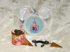 東京ディズニーリゾート 40周年 キーホルダーセット