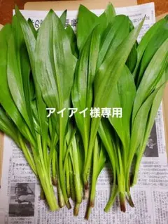 アイアイ様専用　行者ニンニク 750g