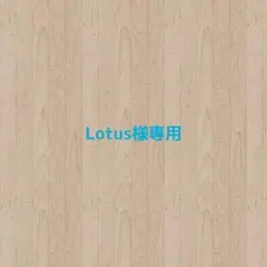 【Lotus様専用】ぬい服 おすわり 着ぐるみ ちびぐるみ 推し活