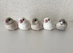 もふもふてのりフレンズ　文鳥　すずめ　フロッキー素材　フィギュア　5個セットのサムネイル