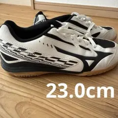 MIZUNO CROSSMATCH SWORD 卓球シューズ