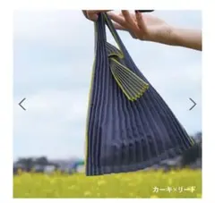 PLECOプリーツバッグmini