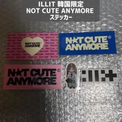 【新品】ILLIT NOT CUTE ANYMORE ステッカー