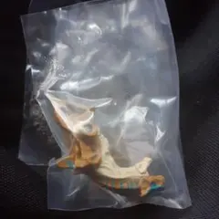 モンスターハンター 捕獲し隊２  ティガレックス