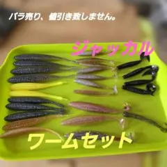 ジャッカル ワームセットのサムネイル