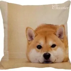 柴犬 写真 Ａ コットンリネン 45x45cm クッションカバーのサムネイル