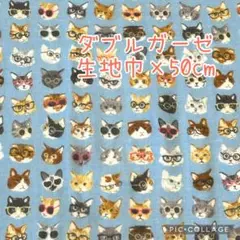 (特価38)ダブルガーゼ　めがねネコ　生地巾×50
