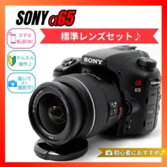 ❤️美品❤️SONY α65❤️初心者におすすめ入門セット❤️スマホ転送OK❤️