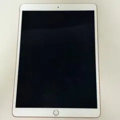 iPad Air3 ジャンク 64GB 画面映らない/つかない 初期化済み 本体