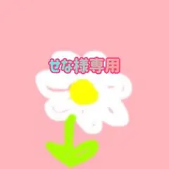 せな様専用出品