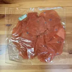 なにわ男子「なにわのにわ」ビッグシュシュ