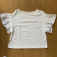 Item thumbnail for item f732653a-67b7-49e6-a24d-dadb7ed25c69