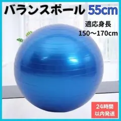 【今だけ価格！】バランスボール ヨガ 55cm ブルー フィットネス ジム