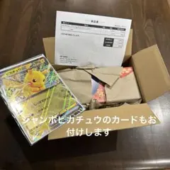 新品未開封 ポケモンセンターヒロシマ スペシャルBOX ※シュリンク付き