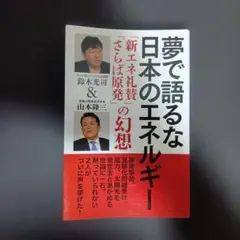 夢で語るな 日本のエネルギー 「新エネ礼賛」「さらば原発」の幻想