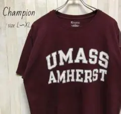 チャンピオン☆刺繍ロゴ　半袖　Tシャツ ビッグプリントロゴ　90s　古着