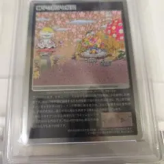 PSA10 村上隆 お花親子と錦市場 - メルカリ