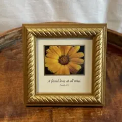 Item thumbnail for item 5d65f665-ac20-4c5c-8324-260a9b1c859e