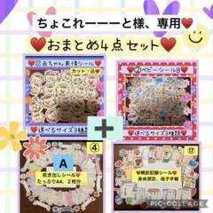 ちょこれーーーと様 リクエスト 5点 まとめ商品