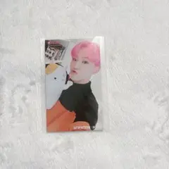 seventeen セブチ セブンティーン ホシ hmv ぬいぐるみ
