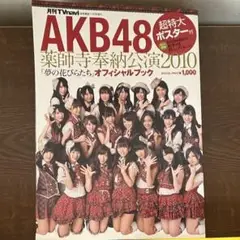 AKB48 非売品 特大シートポスター 店頭用 入手困難　神7 レア AKB48 非売品 特大シートポスター 店頭用 入手困難 神7 レア