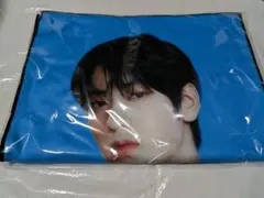 BIG PHOTO TOWEL SOOBIN
