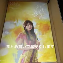 乃木坂46 ハルヤマ 特大ポスター 白石麻衣 齋藤明日香 - メルカリ
