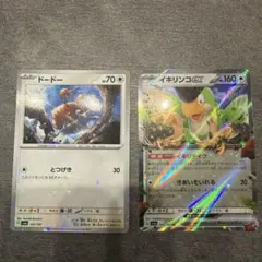 ドードー と イキリンコEX