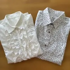 レディース　長袖シャツ　2枚セット　 オフィス　カジュアル　Lサイズ