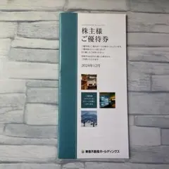東急不動産ホールディングス　株主優待