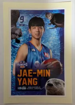 茨城ロボッツ　ヤンジェミン　シール　背番号9 大洗水族館