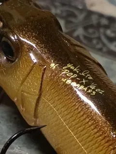 Item thumbnail for item 75f590e4-4cdf-4be7-bd80-2f2577a395f1