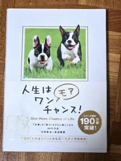 人生はワンチャンス! One More Chance to Life