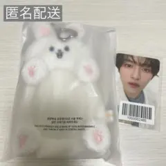 straykids ペンミ 5'oclock リノ リービット