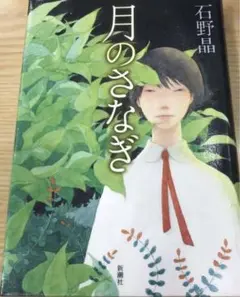 石野 晶 月のさなぎ