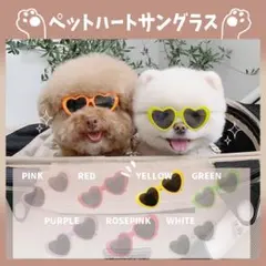 Item thumbnail for item e9686add-4630-4f32-bab0-bcadf31e8ab8