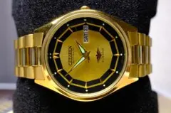 2025年最新】Citizen 文字盤カラー：ゴールド 自動巻き時計の