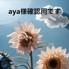 aya様　確認用です。