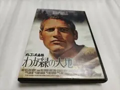 ポール・ニューマン オレゴン大森林/わが緑の大地 DVDレンタル落ち品