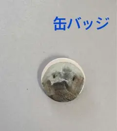 鳥羽水族館　缶バッジ　ラッコ