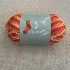 ウィスター　しましまの毛糸　オレンジ系