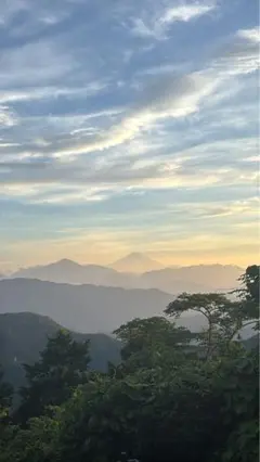 専用