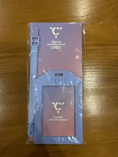SEVENTEEN FC継続特典
