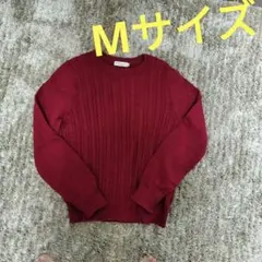 earth music&ecology Mサイズ ニット