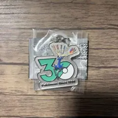 ポケモン30周年 メタルチャームマスコット 〜シンオウ、イッシュ、カロス〜