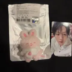 2026年最新】Skzoo リービット ぬいぐるみの人気アイテム - メルカリ